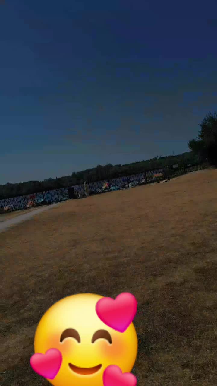 @oranparis3193