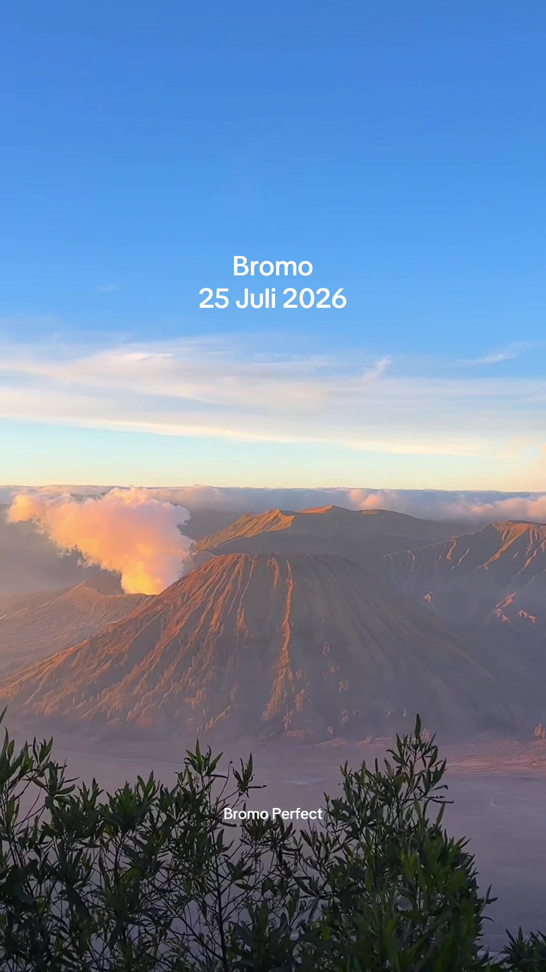 @Travel Bromo Probolinggo