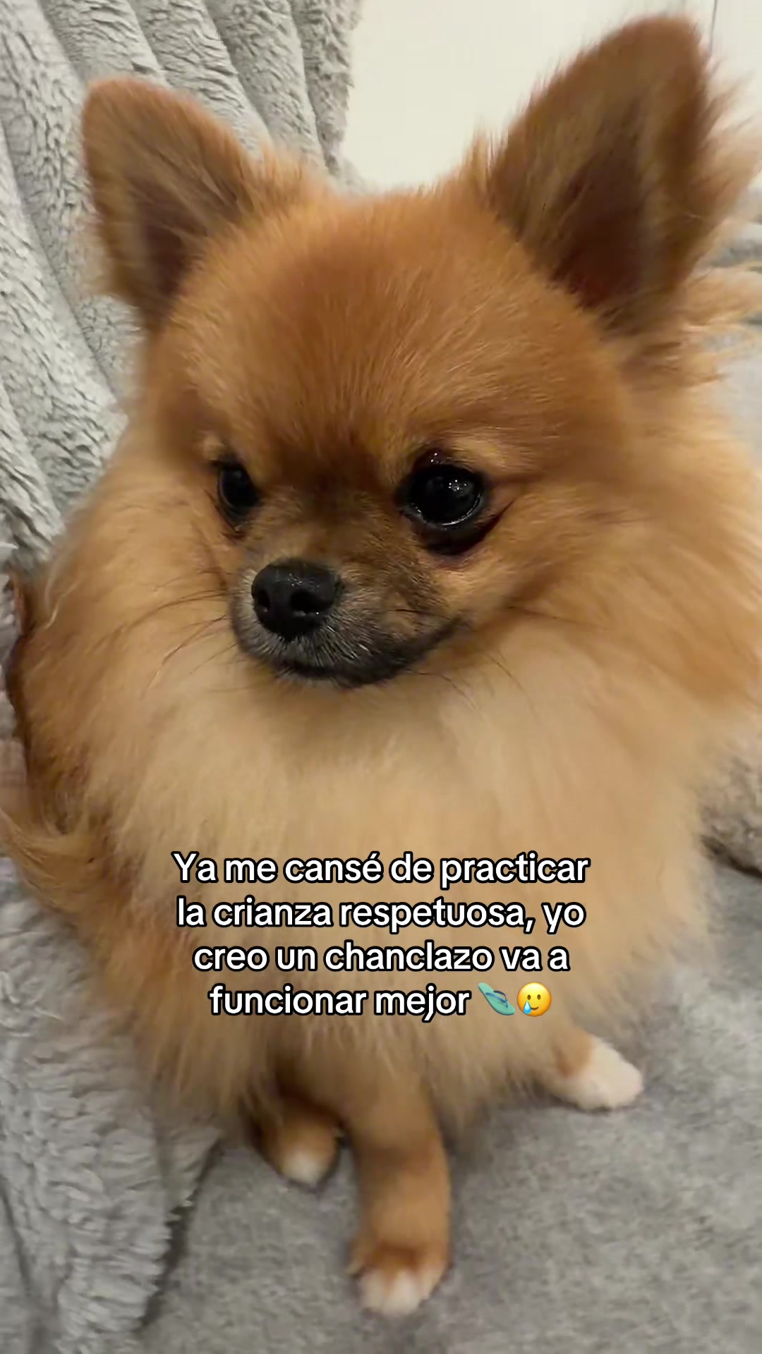 @maryyanayya
