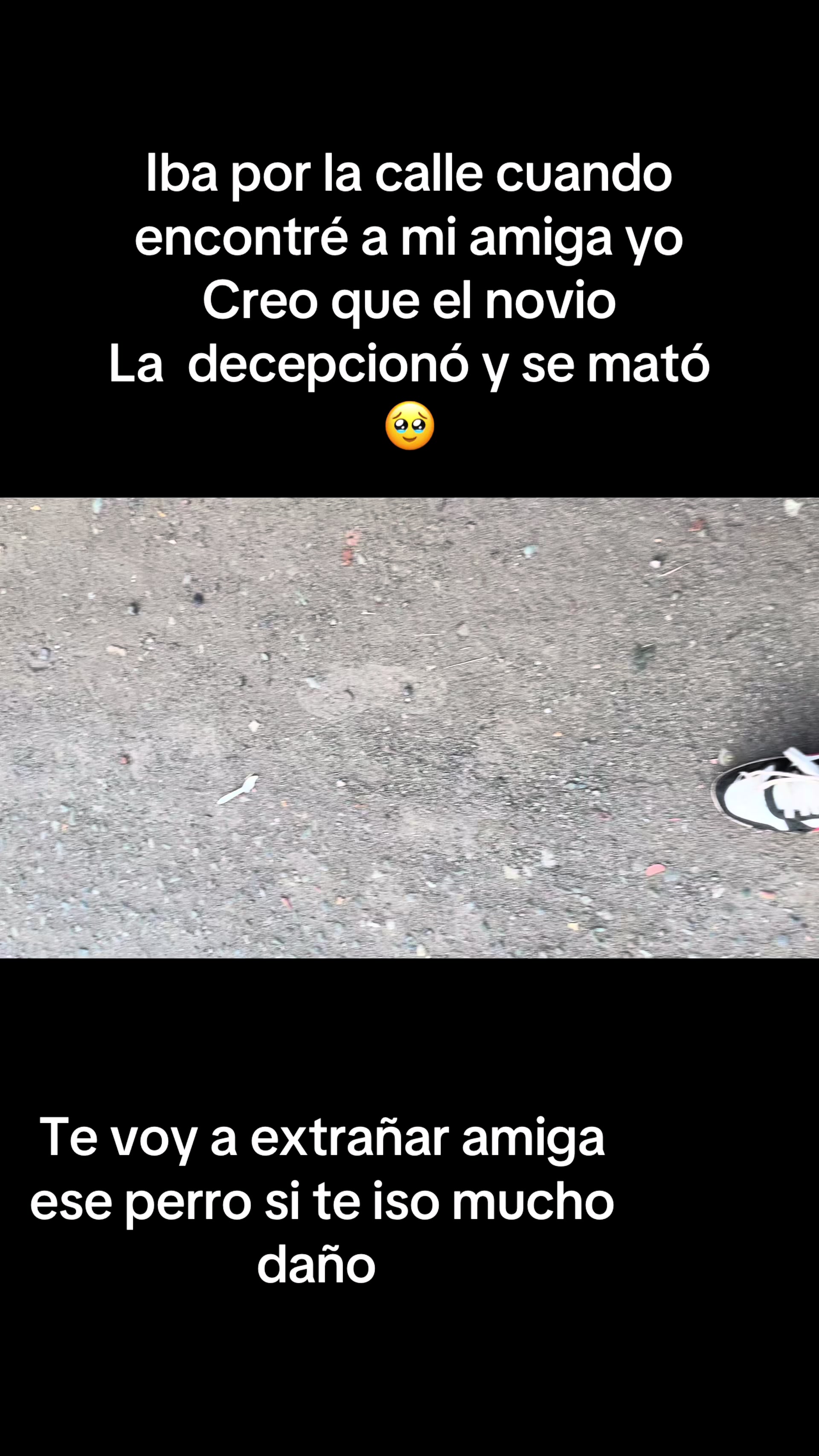 @andi.lpez.12.🧚&zwj;♂️