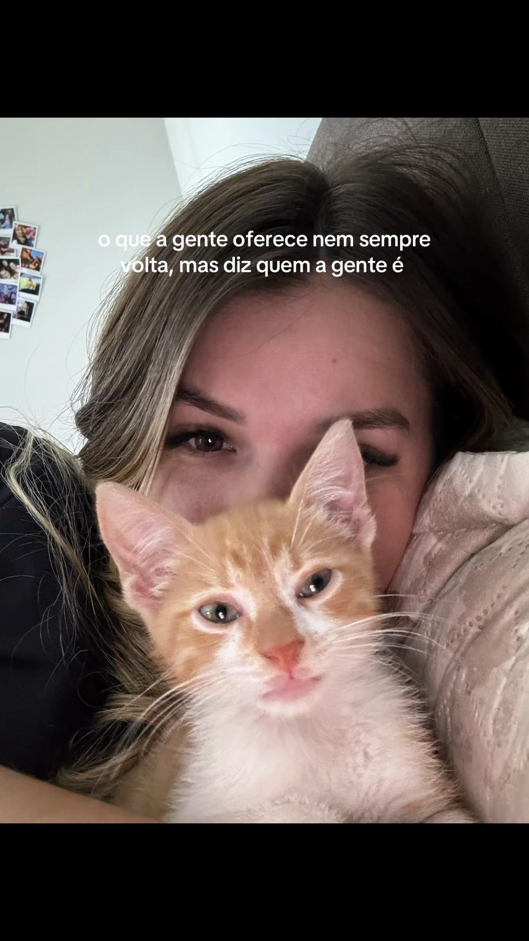 @Ellen Siqueira