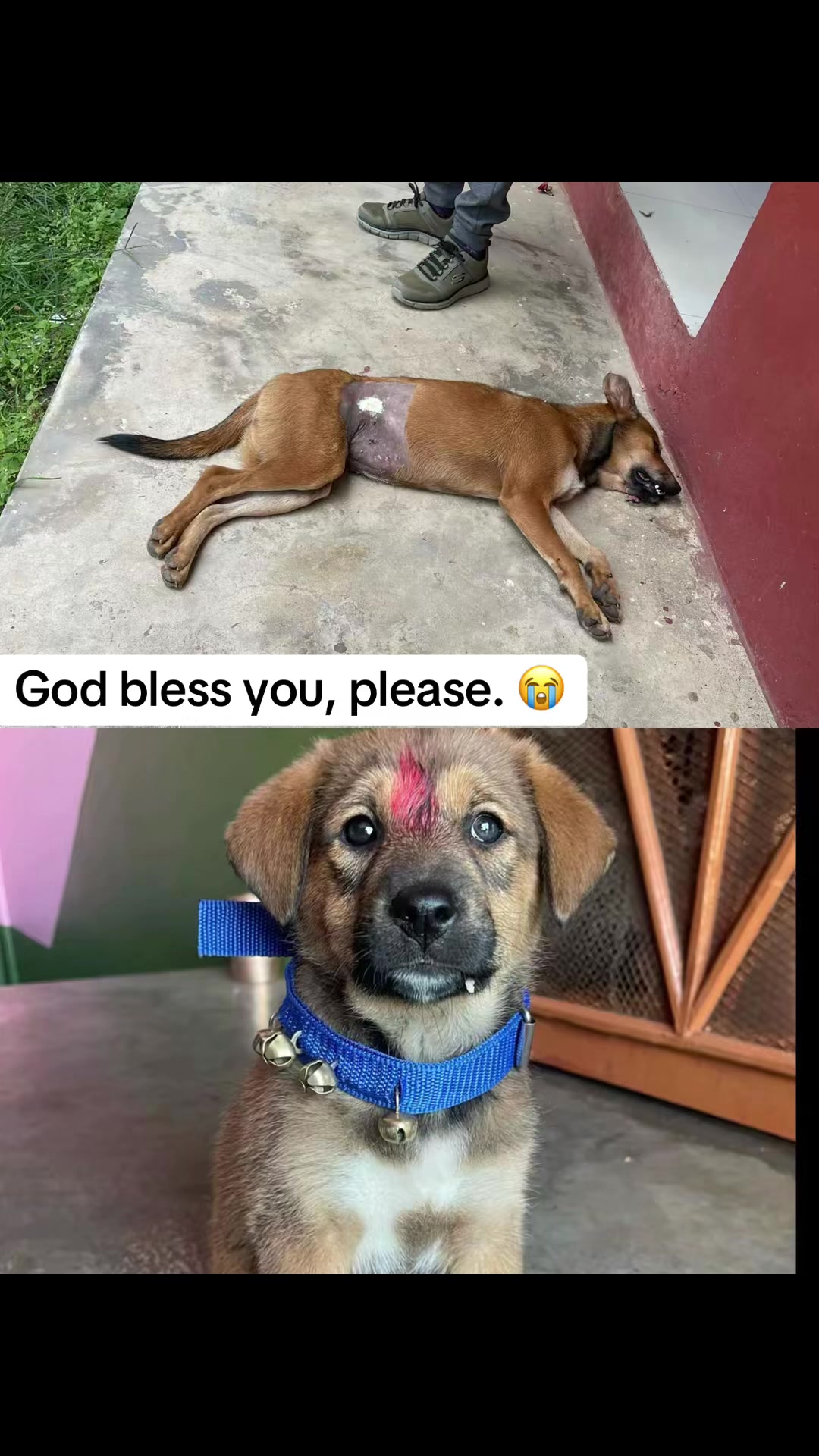 @🧿Mayara pukuli🐕🧿