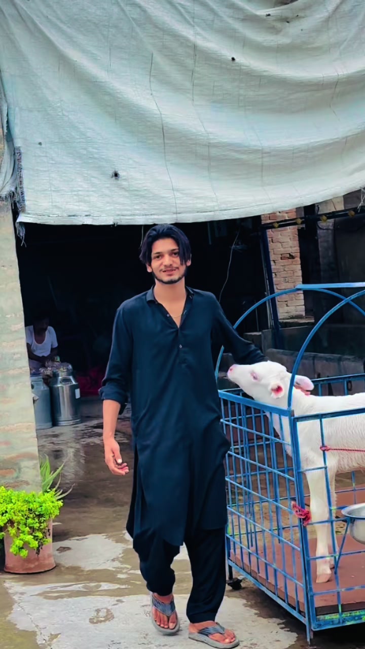 @Ali Raza