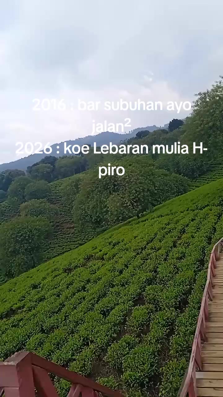 @🇲🇨🇵🇸 Mawar Merah 🌹