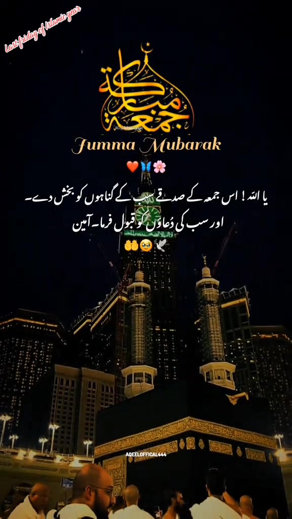 @Khichi786✅