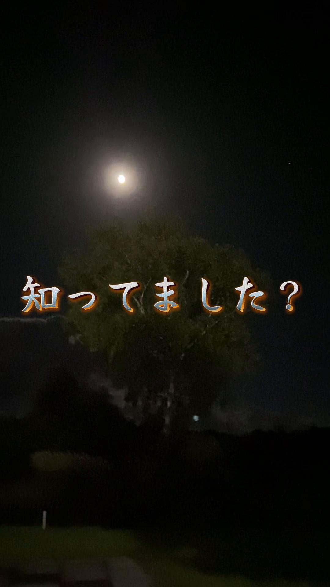 @わがままファミリー