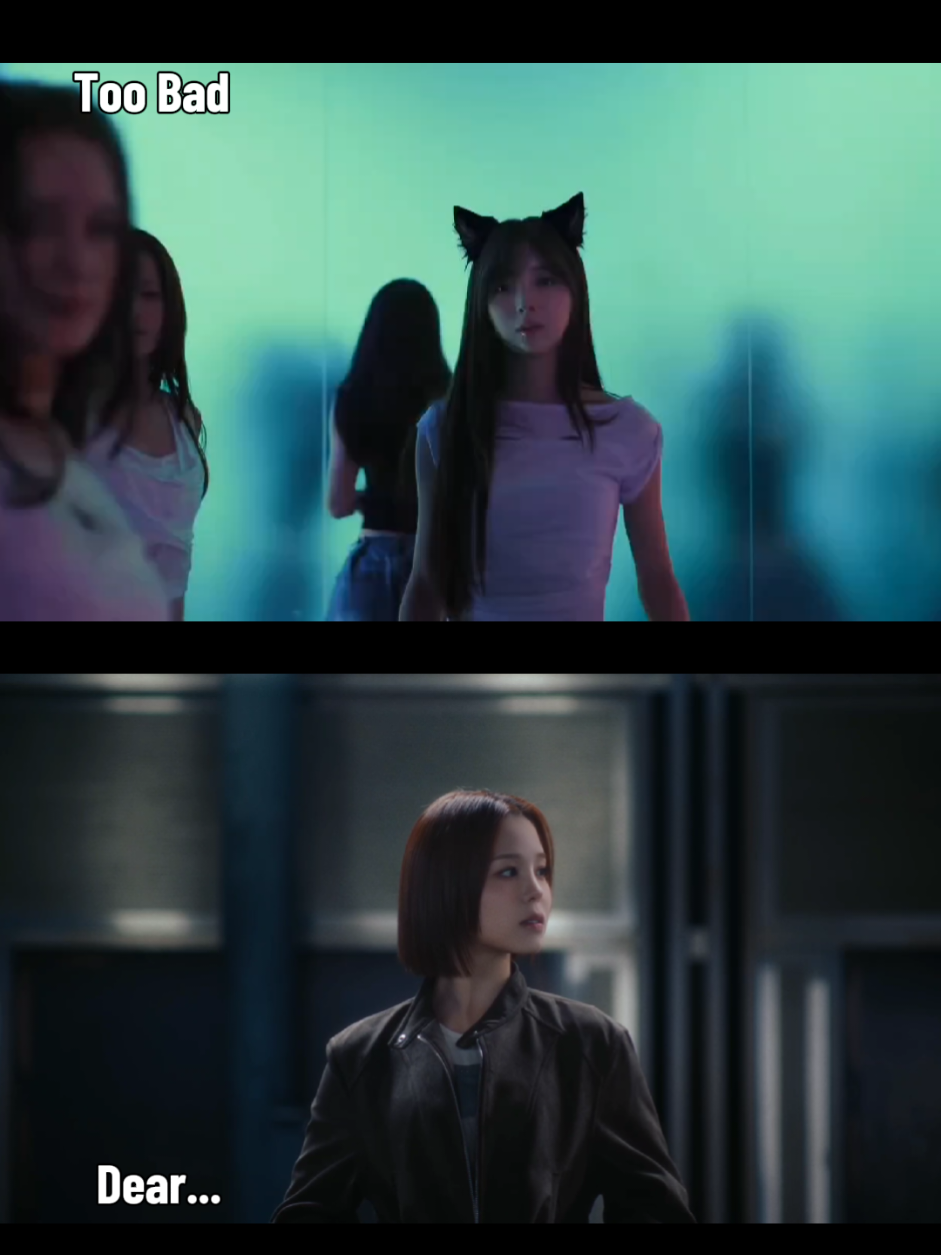 @Alita🐈