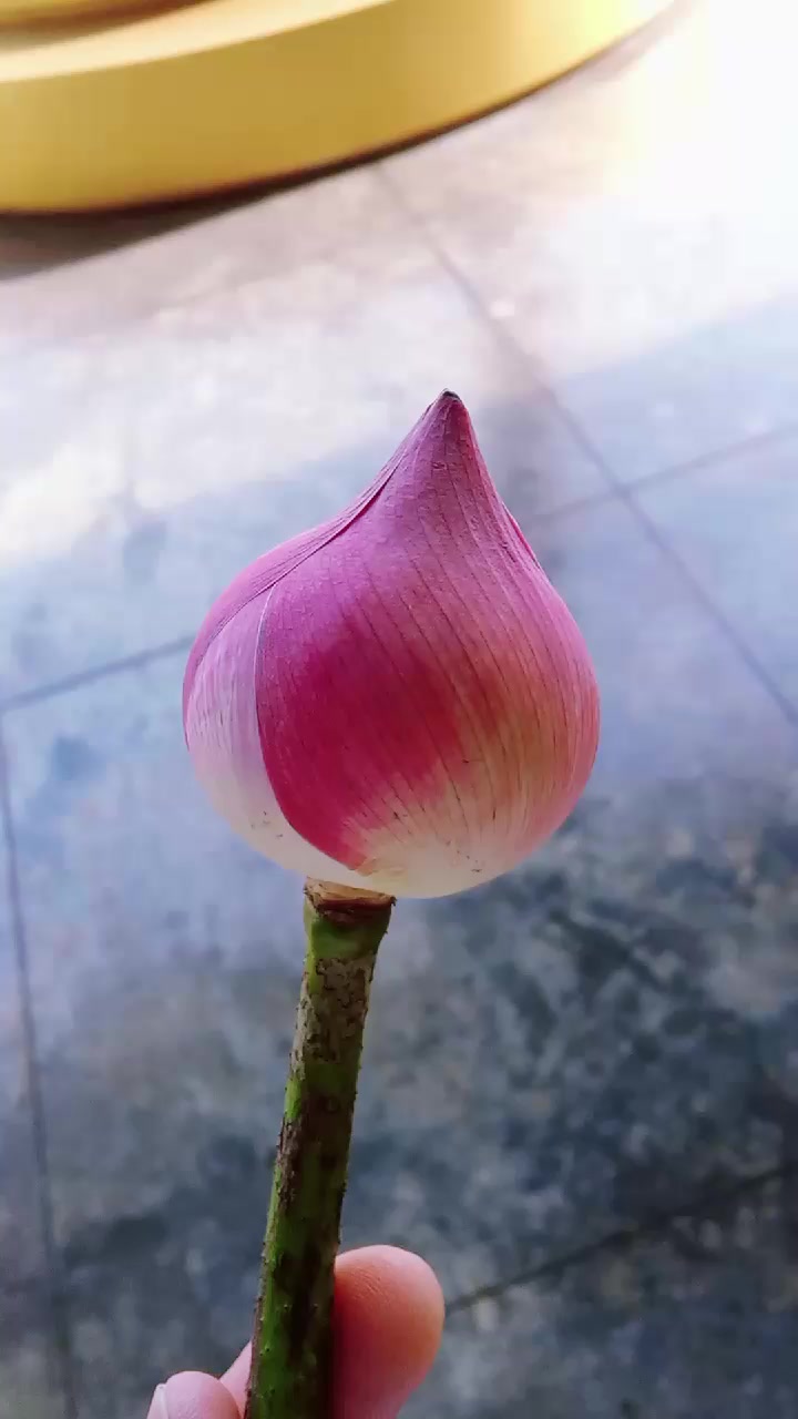 @ปักหมุดสิ่งดีทำให้ต่อเนื่อง🎯