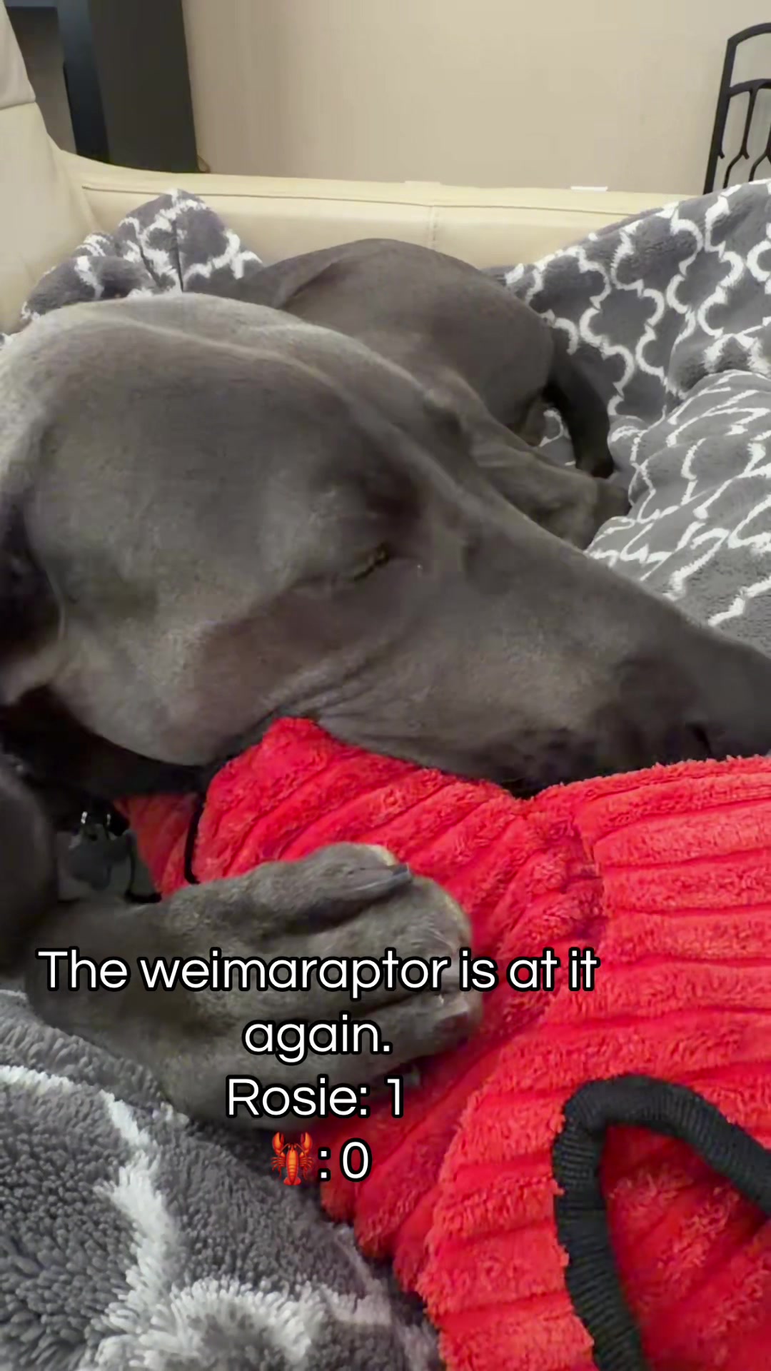 @weimsthreetimes
