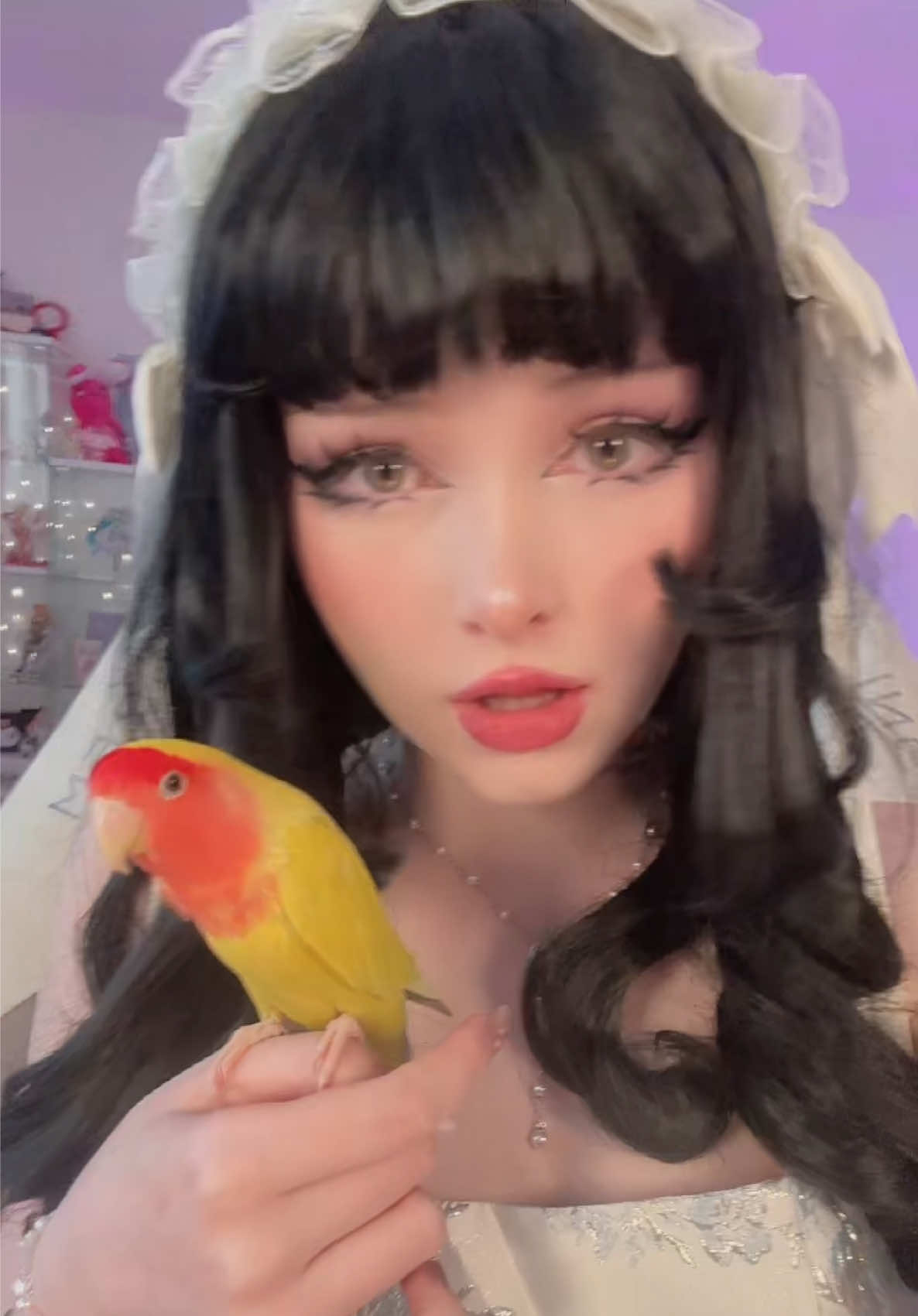 @⋆౨ৎ˚ Banni ⟡˖ ࣪