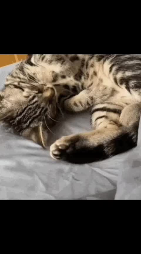 @ð liceðà§