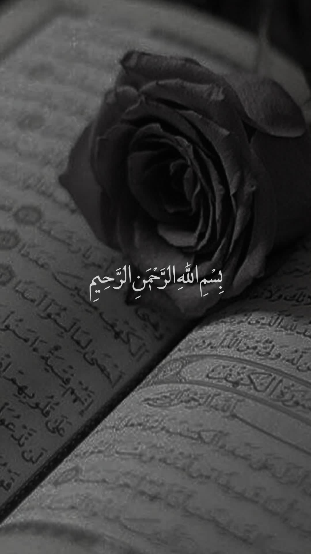 @قائد الغُرِّ المُحَجَّلين