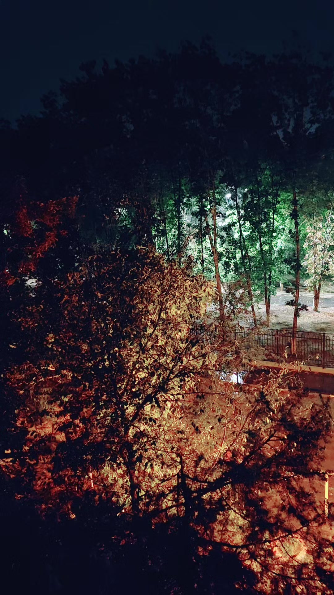 @моя жизнь