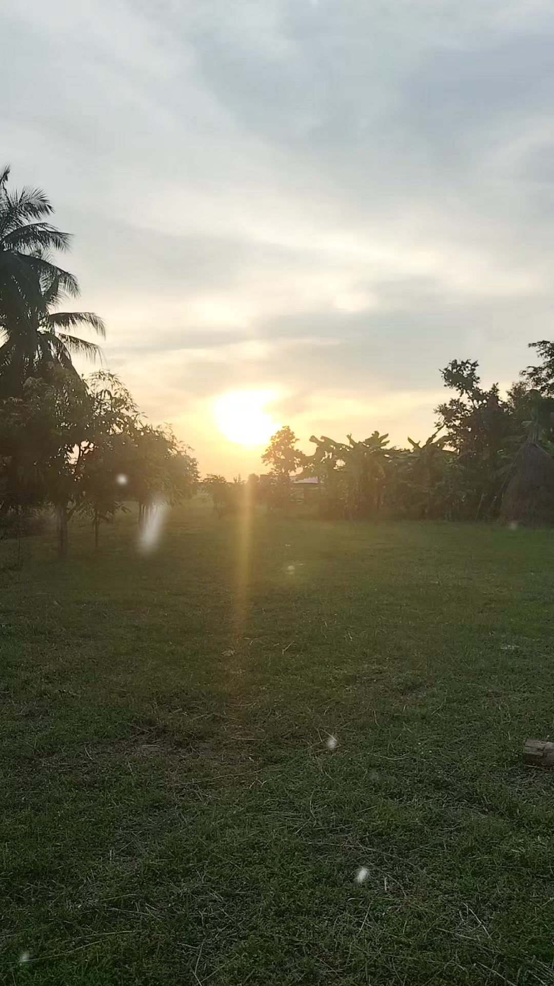 @Surasak