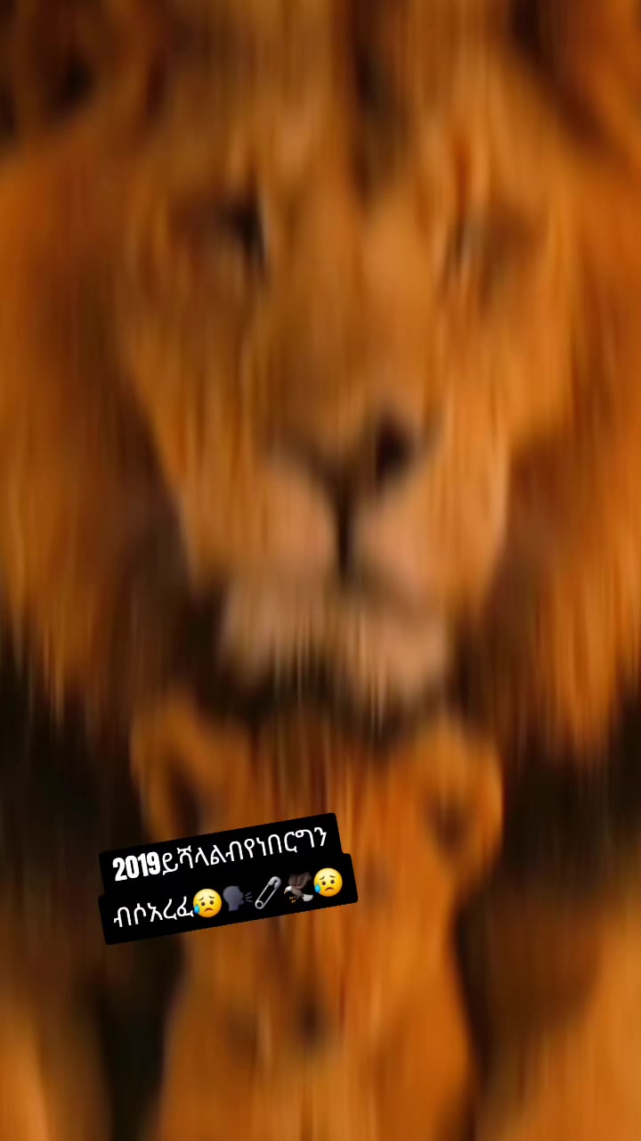 @โอโอ๐แ
โบโแแโฉโแฏโอโอ๐๐
