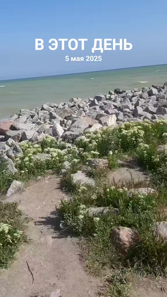@Svetik