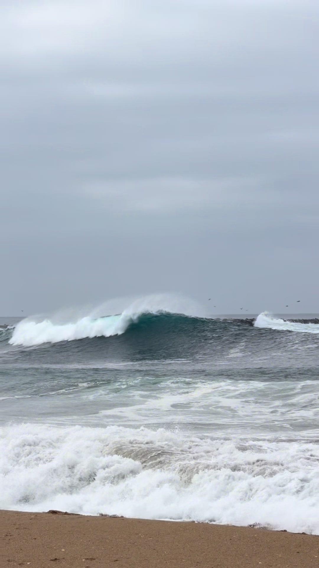 @I’m A Surfer, Dude