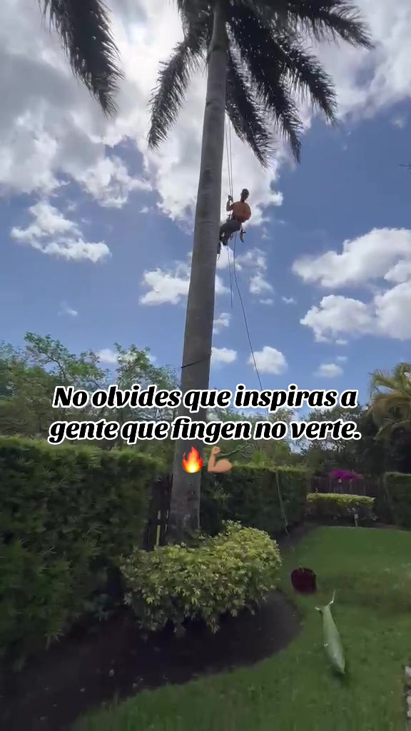 @Oziel🌴🔥