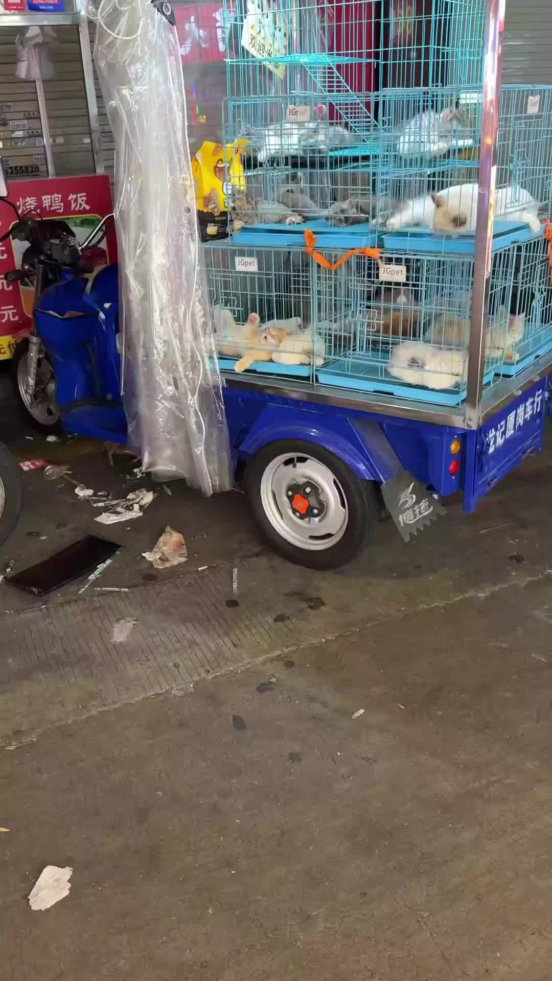 @Pets.VN