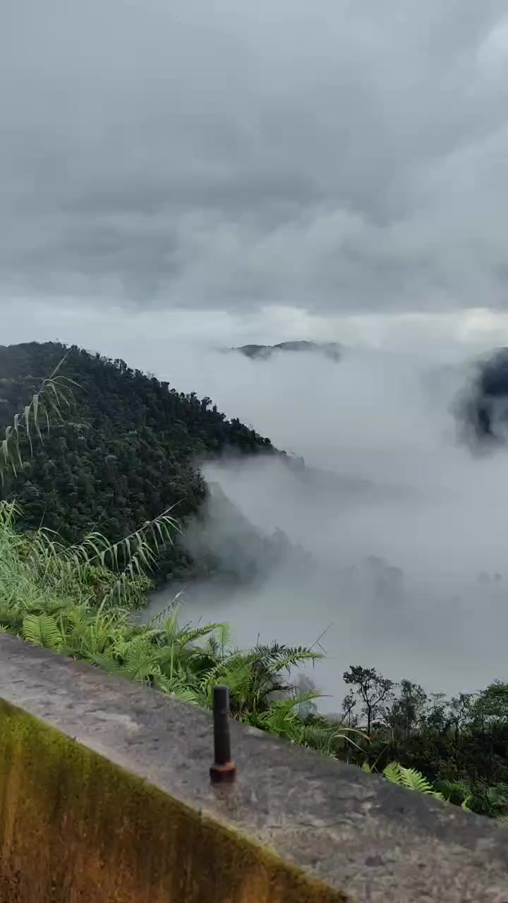 @TOZEHIL(FiveFourWanZero)🇵🇬