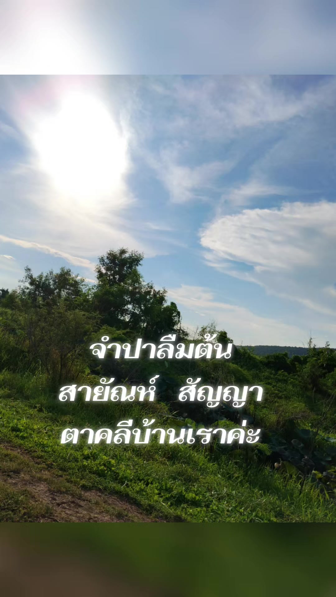 @ลำพึง เอี่ยมสุดใจ