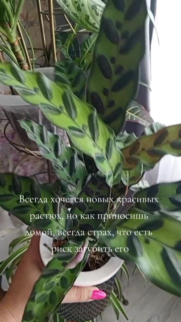 @Виктория 48rus