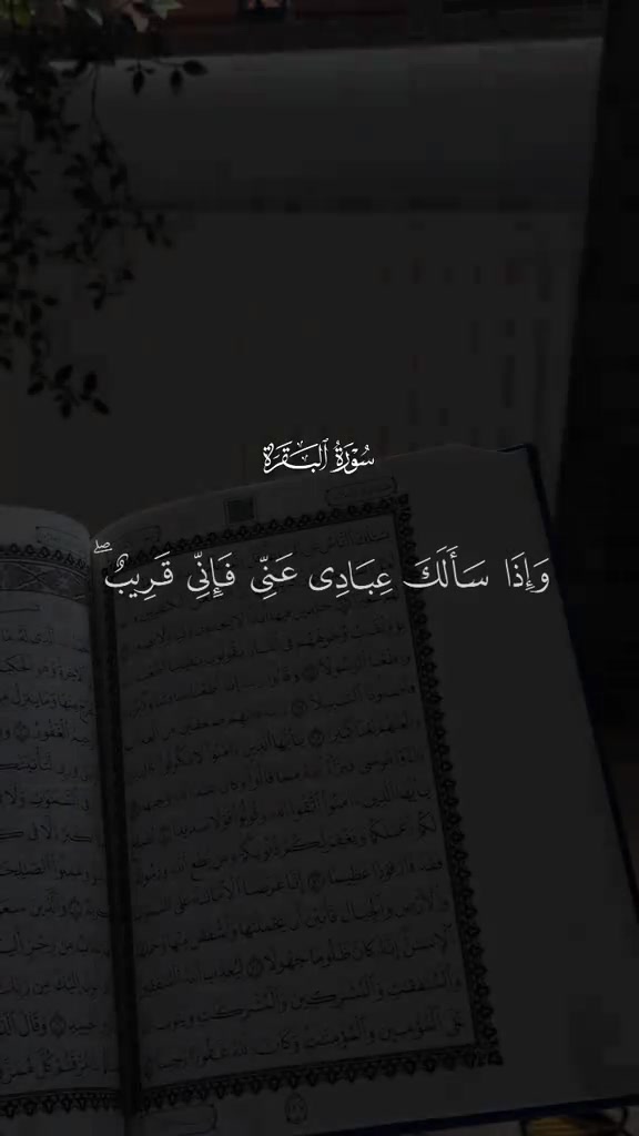 @يوسف عطاالله ❤️🔥