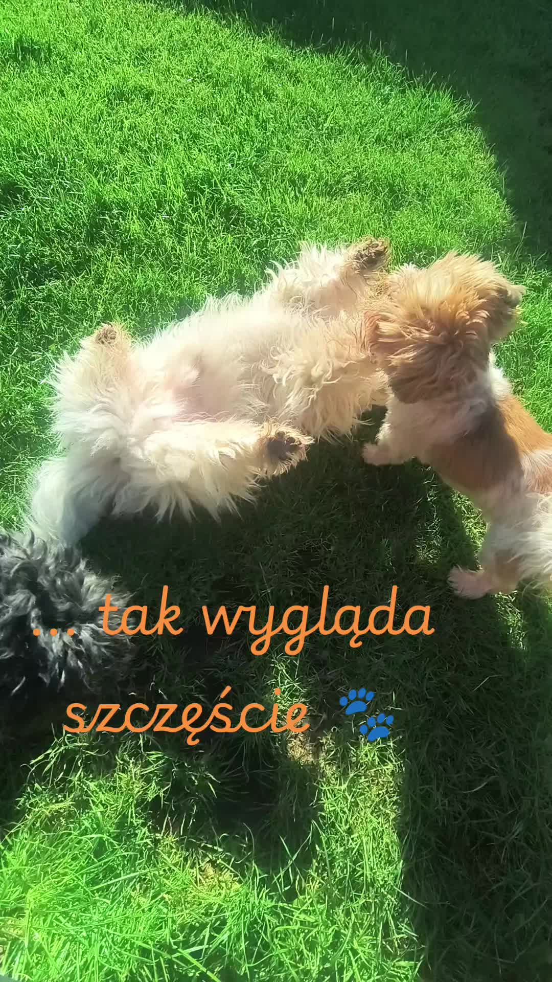 @tadelkaispółka