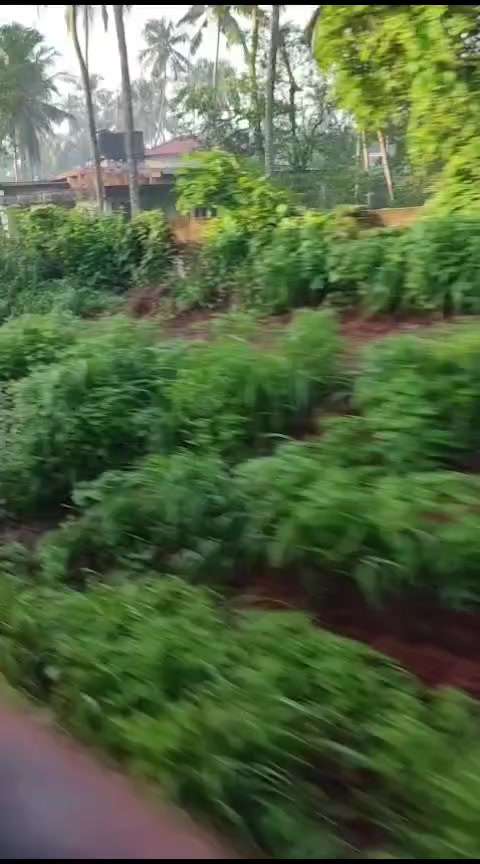 @பேப்பர் ஐடி 248 🌹1