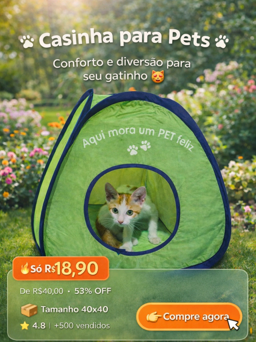 @Gatos Persas de Luxo