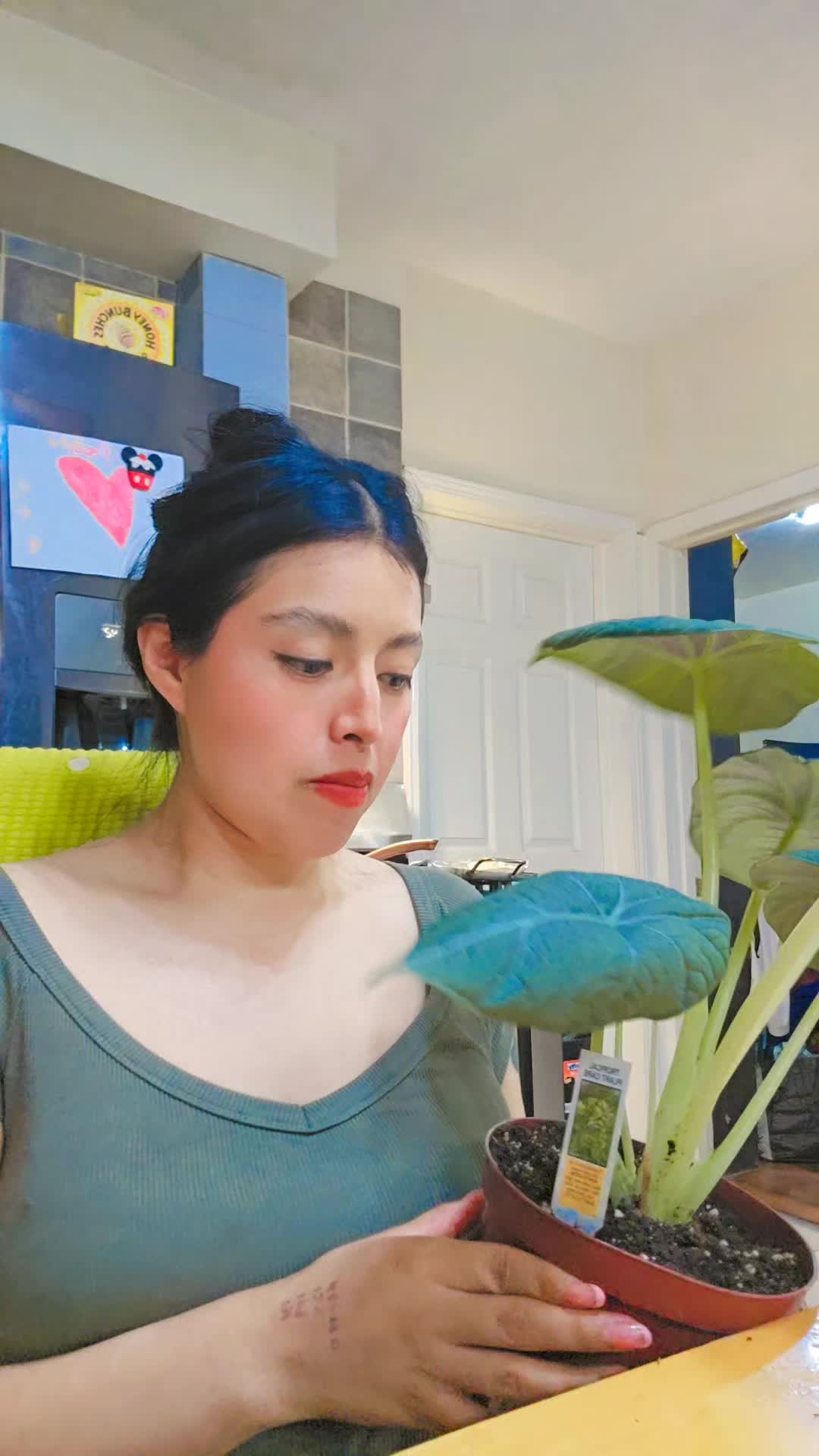 @itaJimenez