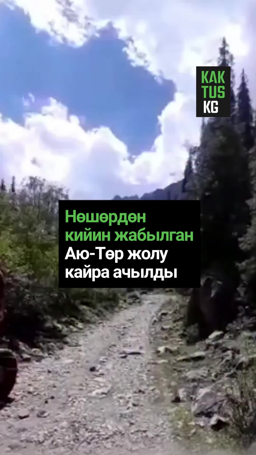@Kaktus KG