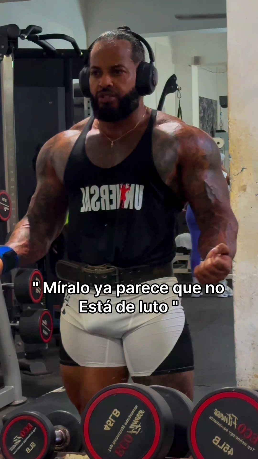 @Yankee Luchador