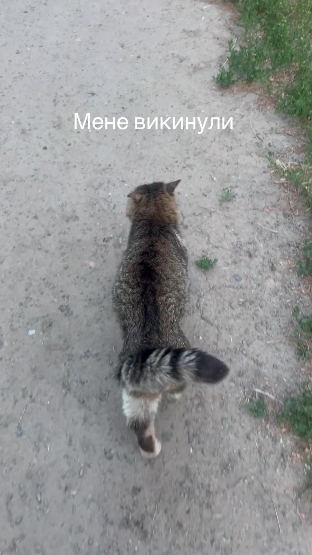 @Алиса