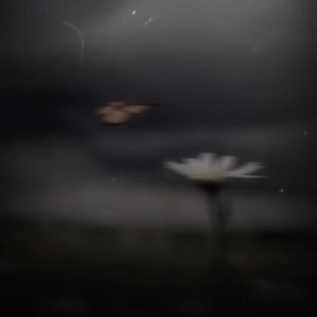@𝐕𝐈𝐋𝐋𝐀𝐈𝐍 o_O 𝐩𝐚𝐠𝐞