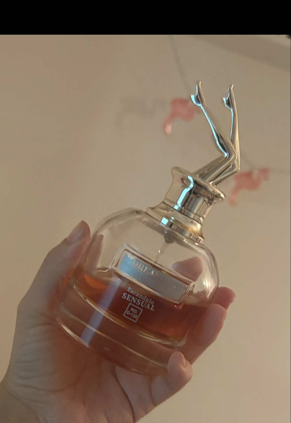 @Erika 🔮