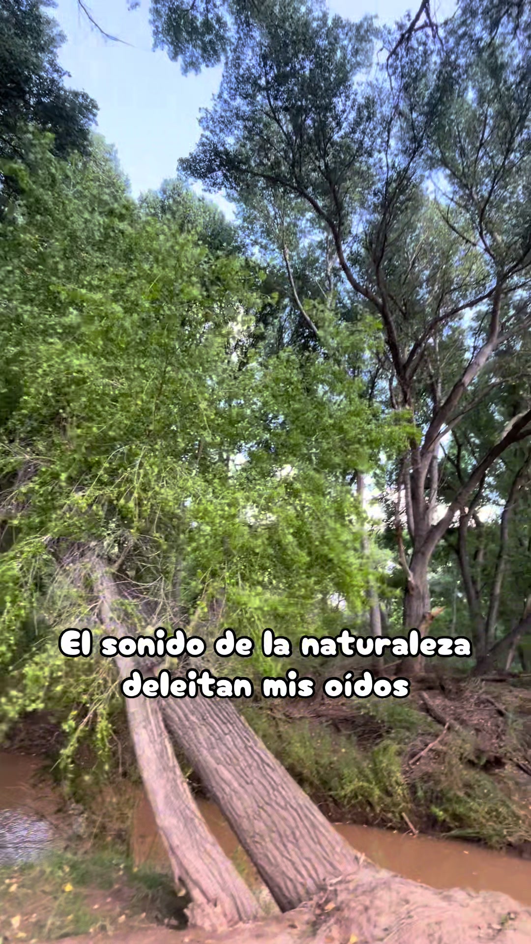 @Clauu