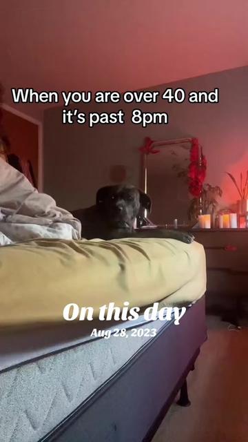 @sun_chaser79