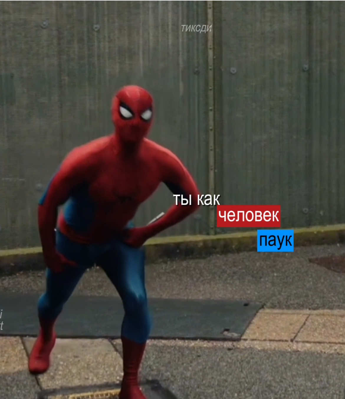 @тиксди