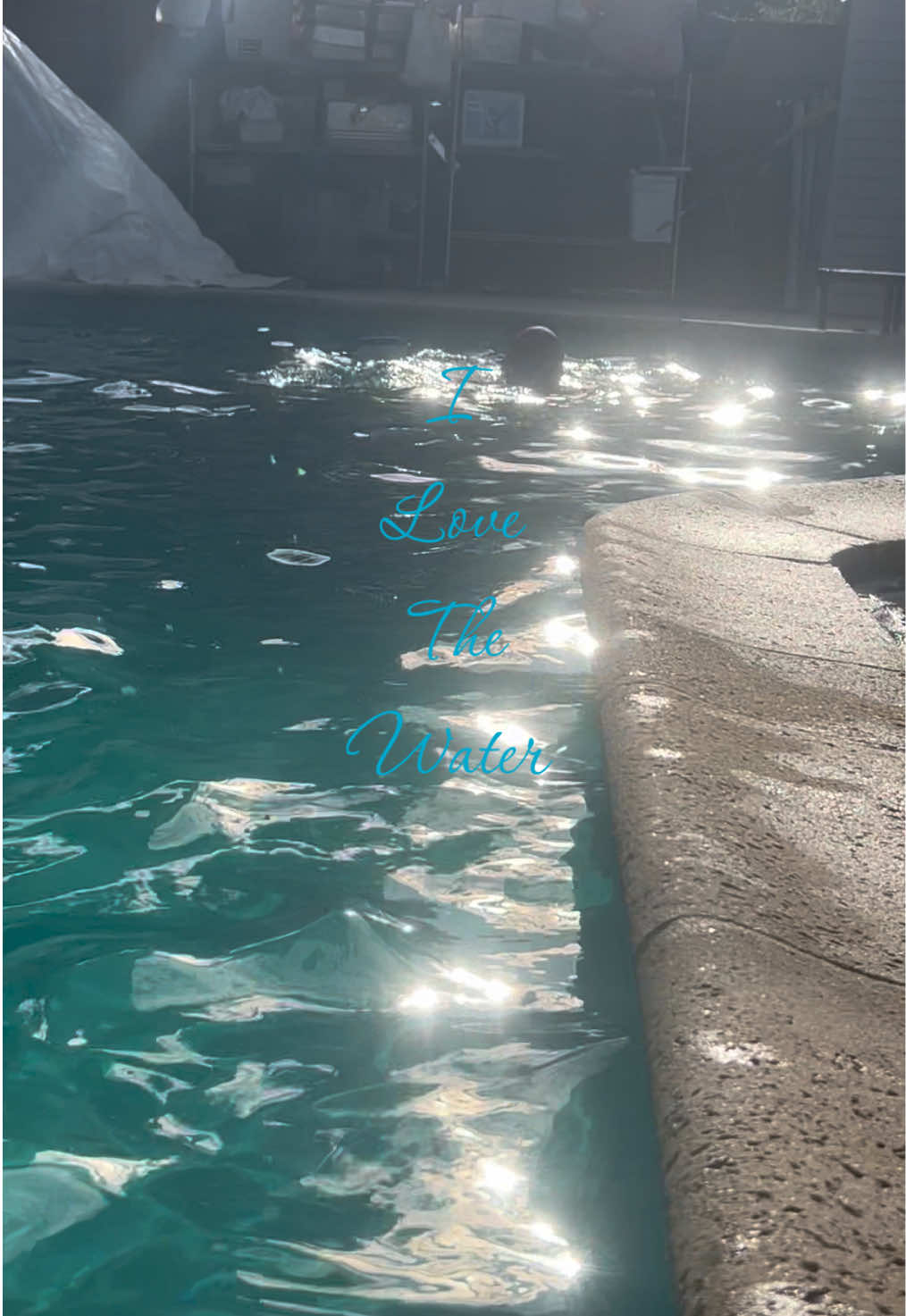 @𝑻𝒂𝒏𝒊𝒂