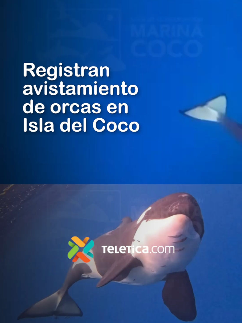 @Teletica.com