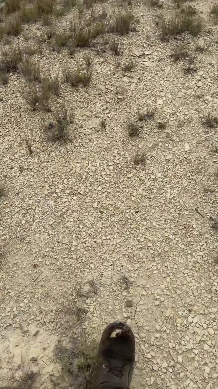 @CALIBOI559