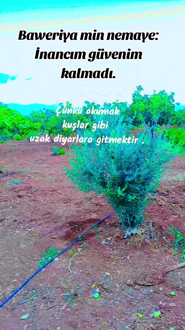 @doğru