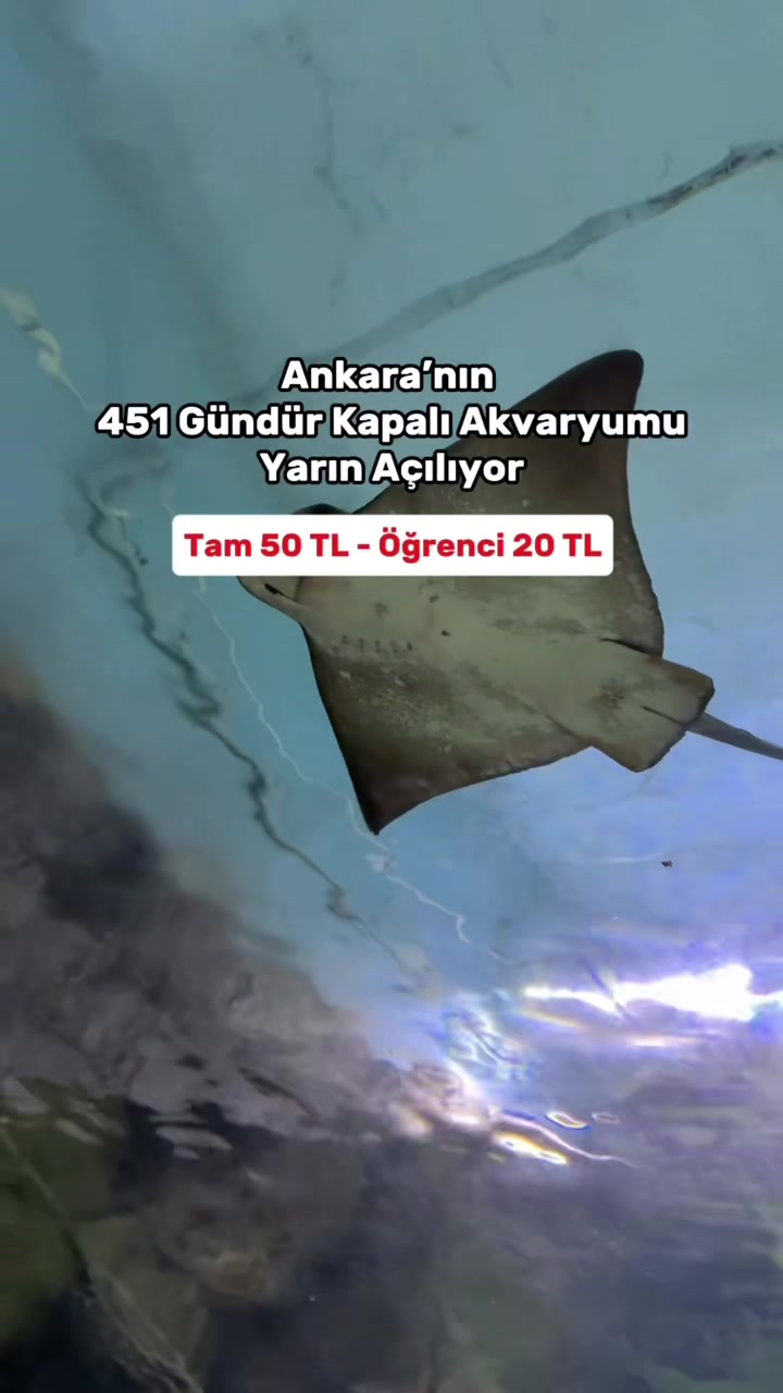 @ankaradagidilir