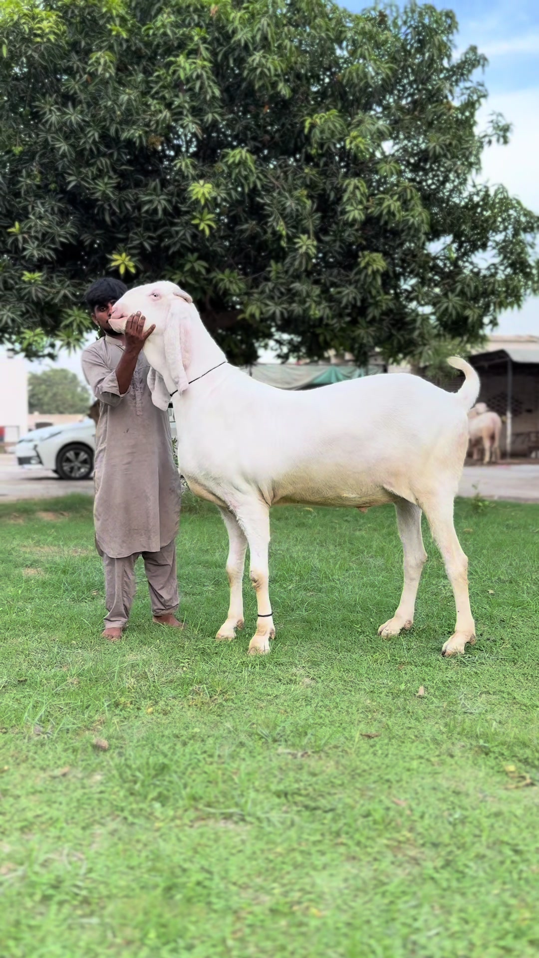 @Buraq waqar