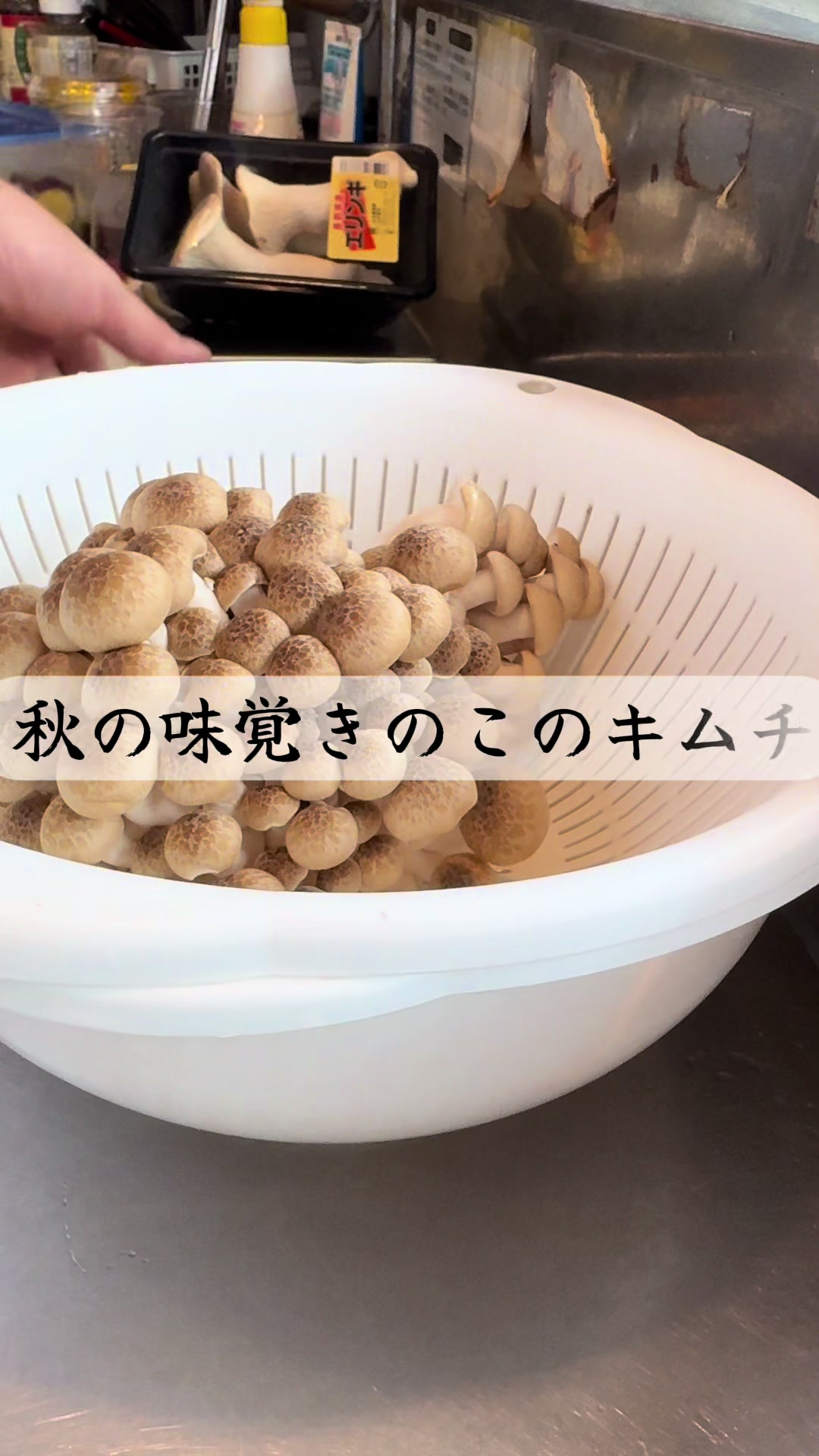 @kado