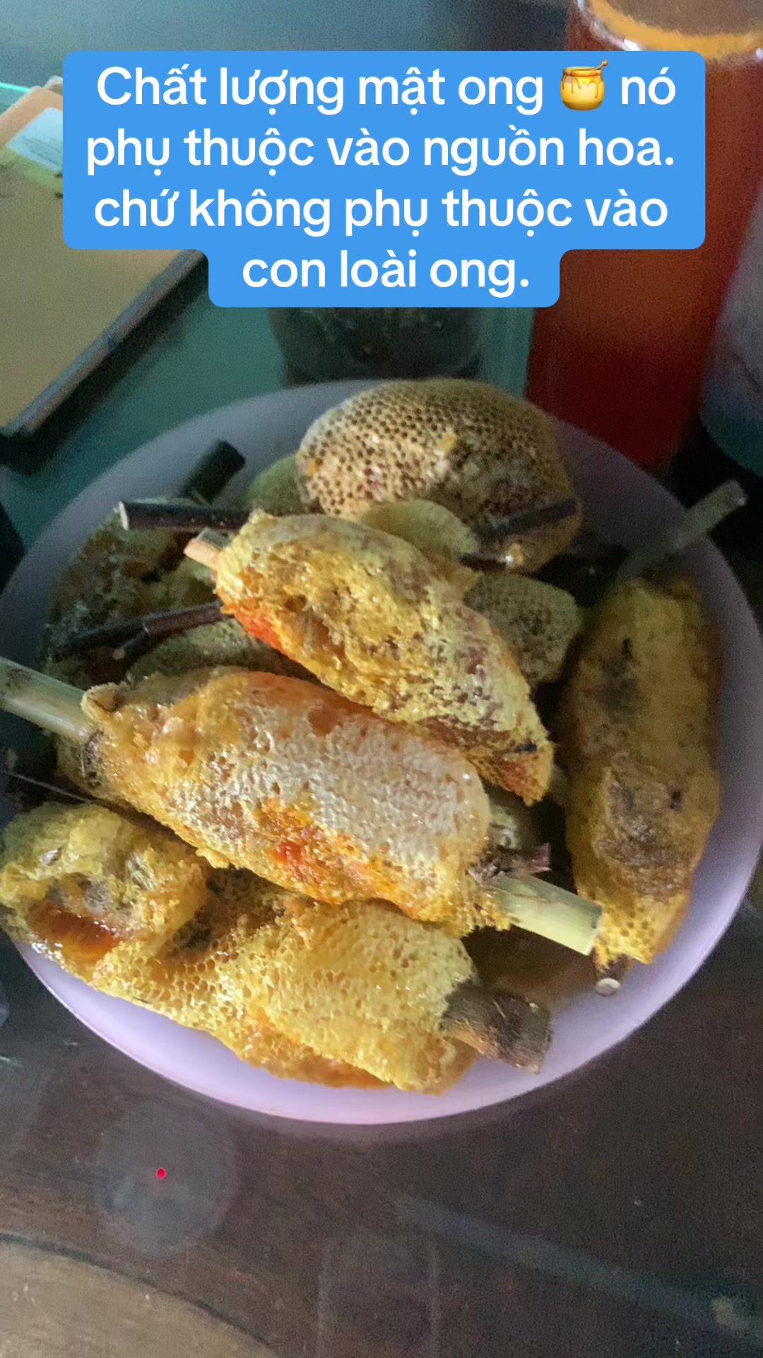 @Mật rừng THÀNH ĐẠT