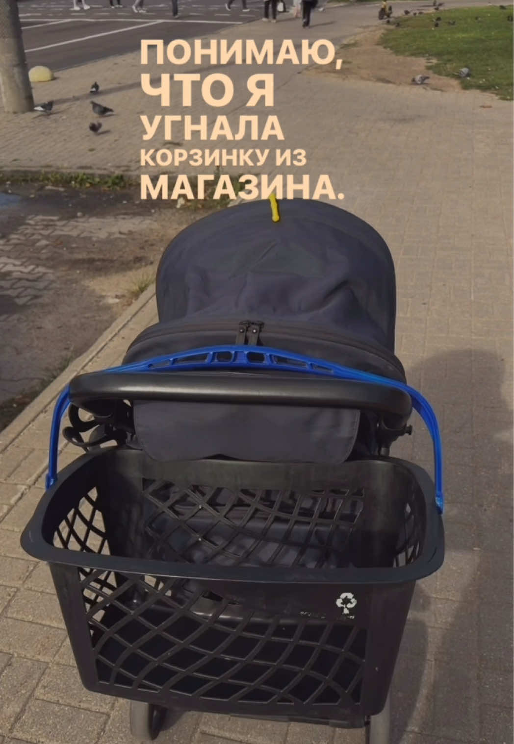 @𝑷𝒐𝒍𝒍𝒚