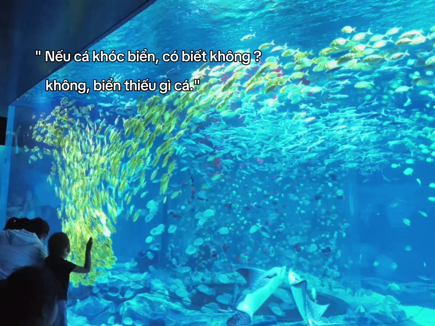 @𝙥𝙧𝙞𝙣𝙘𝙚𝙨