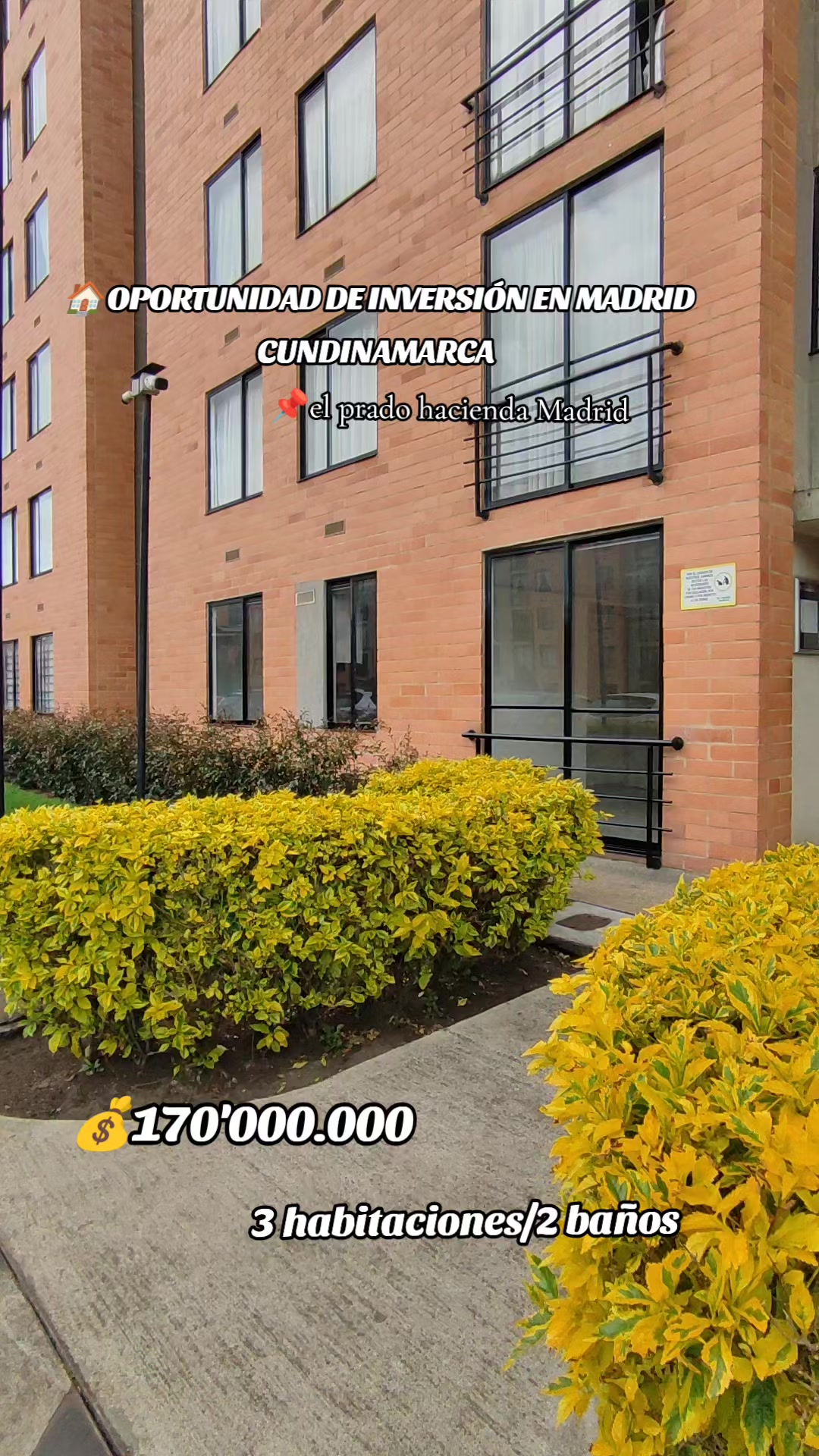 @of gold inmobiliaria